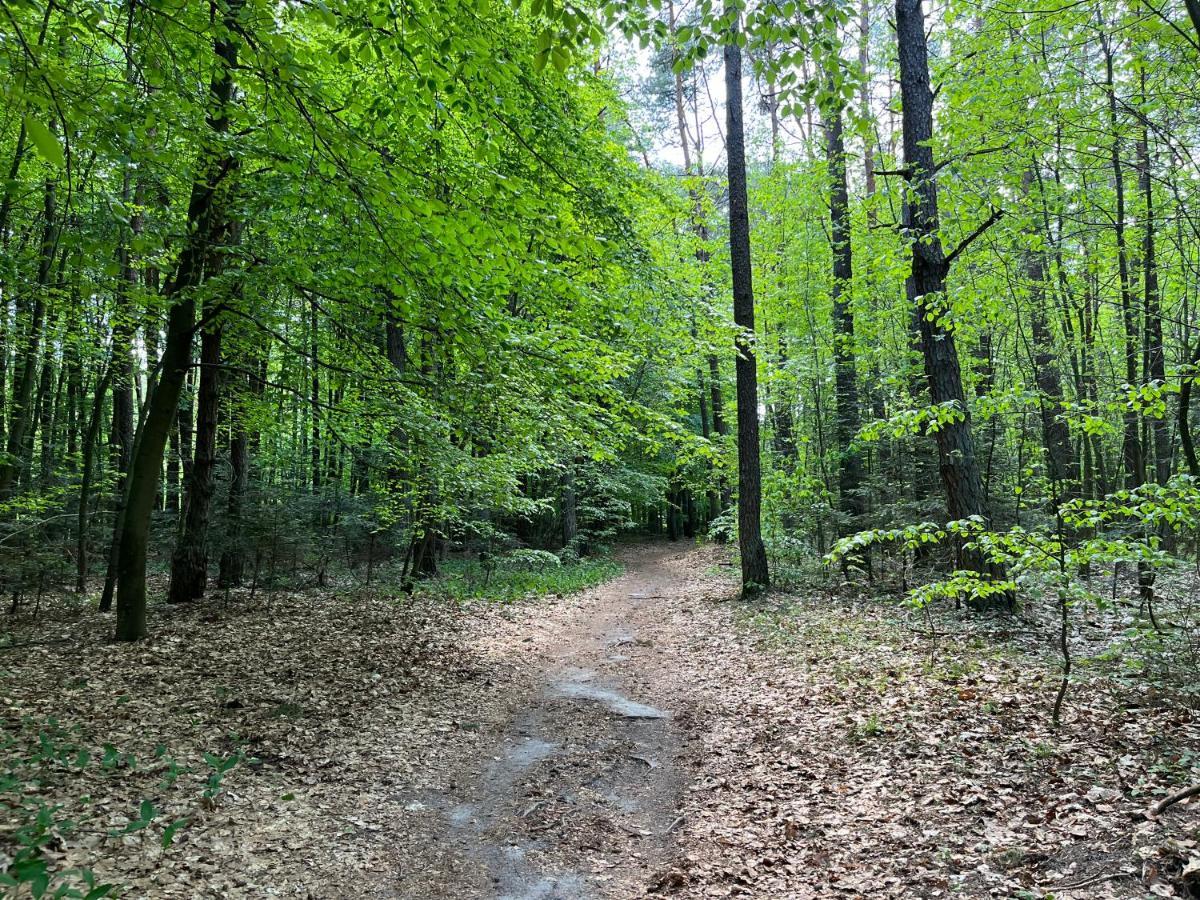 Kielce- Forest Apartament, Faktura, Parking, Centrum Apartment Kielce